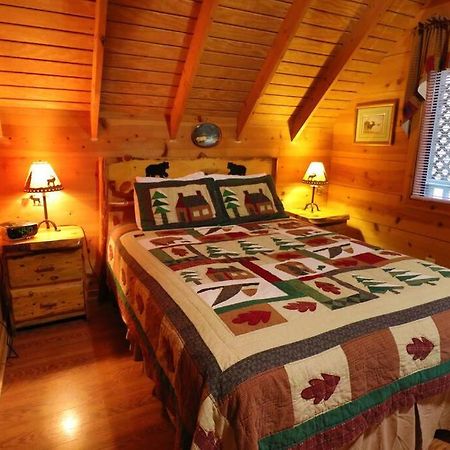 Cute Updated Mountain Cabin Fireplace #3 헬렌 외부 사진