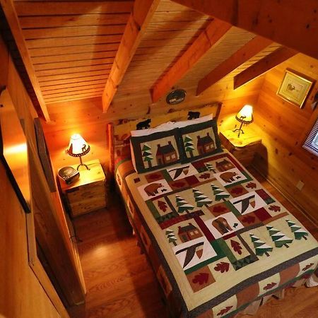 Cute Updated Mountain Cabin Fireplace #3 헬렌 외부 사진