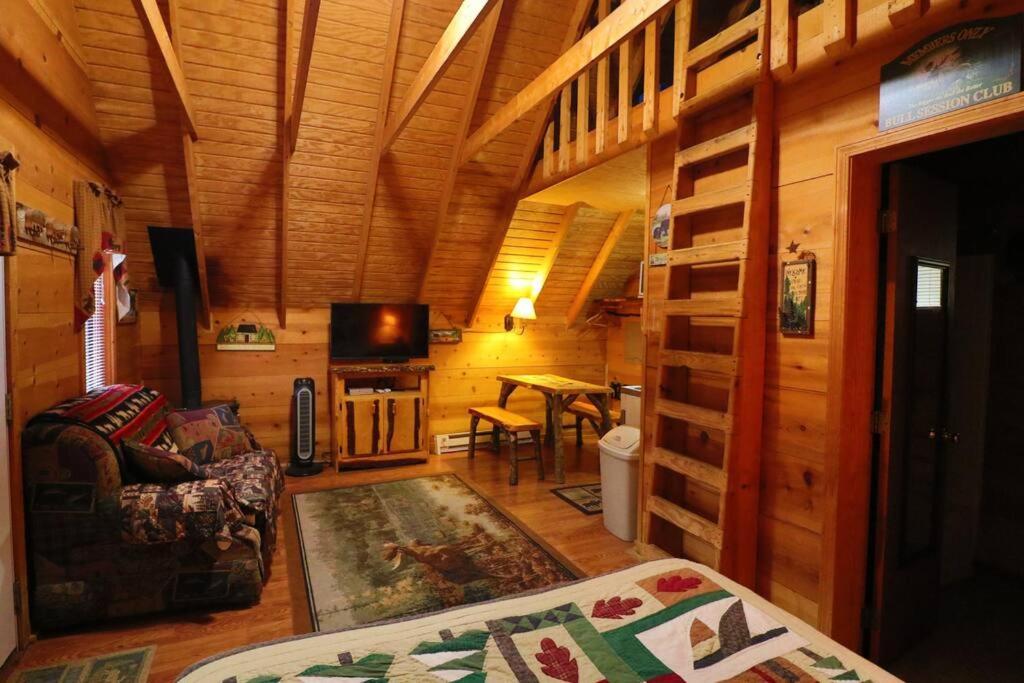 Cute Updated Mountain Cabin Fireplace #3 헬렌 외부 사진