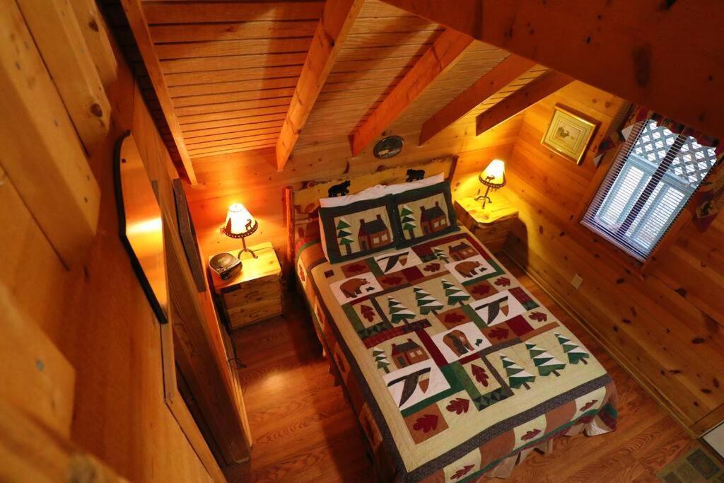 Cute Updated Mountain Cabin Fireplace #3 헬렌 외부 사진